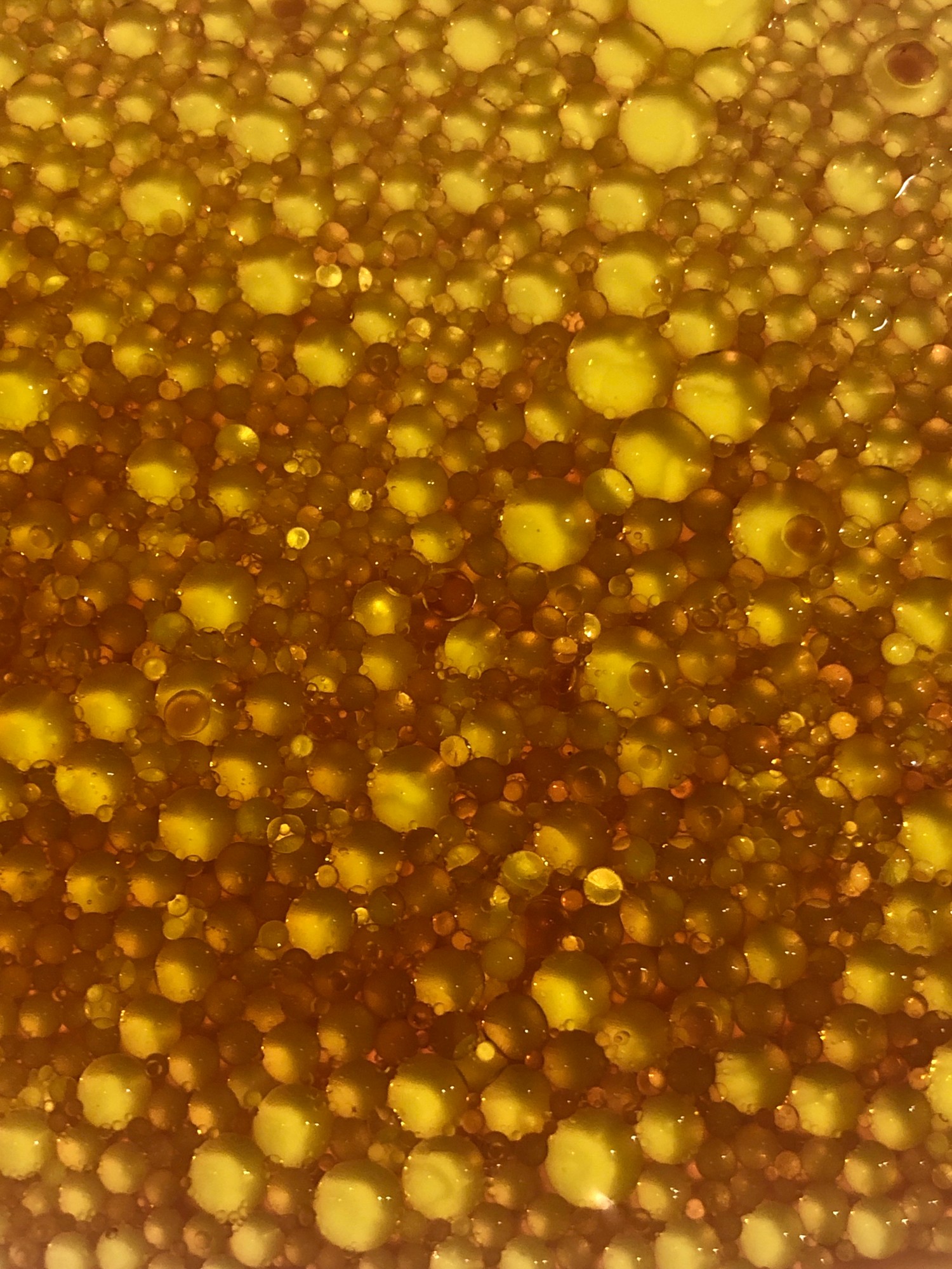 Germination et fermentation naturelles - Processus Funni pour des snacks sains et nutritifs